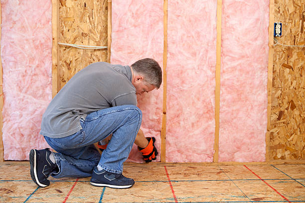 Best Residential Insulation in St Robert, MO
