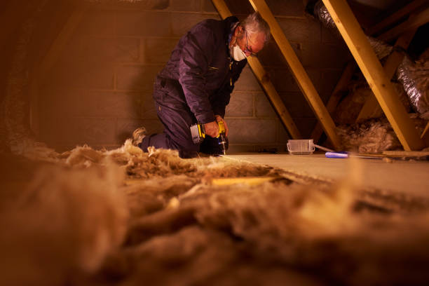 Best Commercial Insulation in St Robert, MO